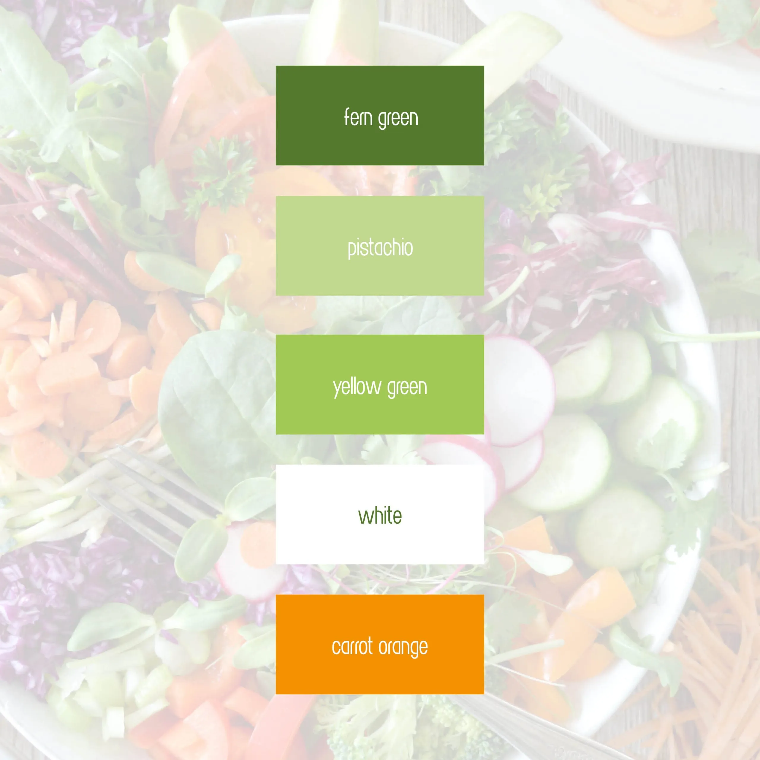 Wie viele Farben sollte mein Branding haben?